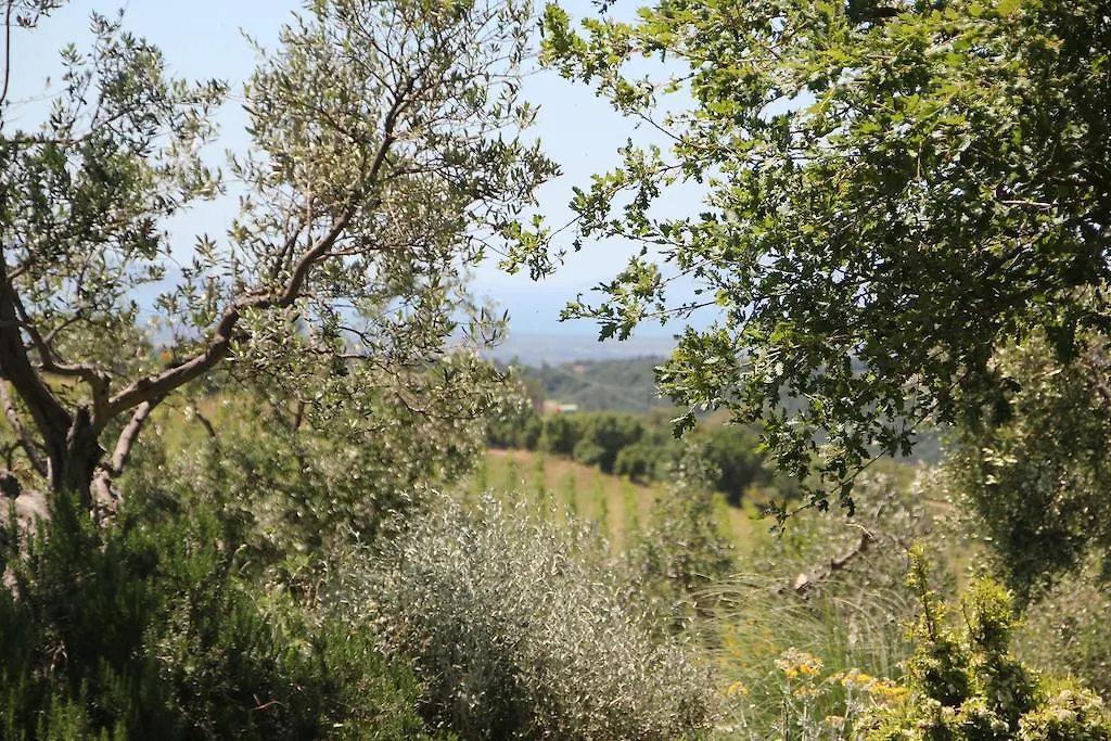 Villa Il Boschetto 马利亚诺因托斯卡纳 0*,  意大利